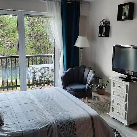 Les Dryades Gérardmer Eksteriør billede