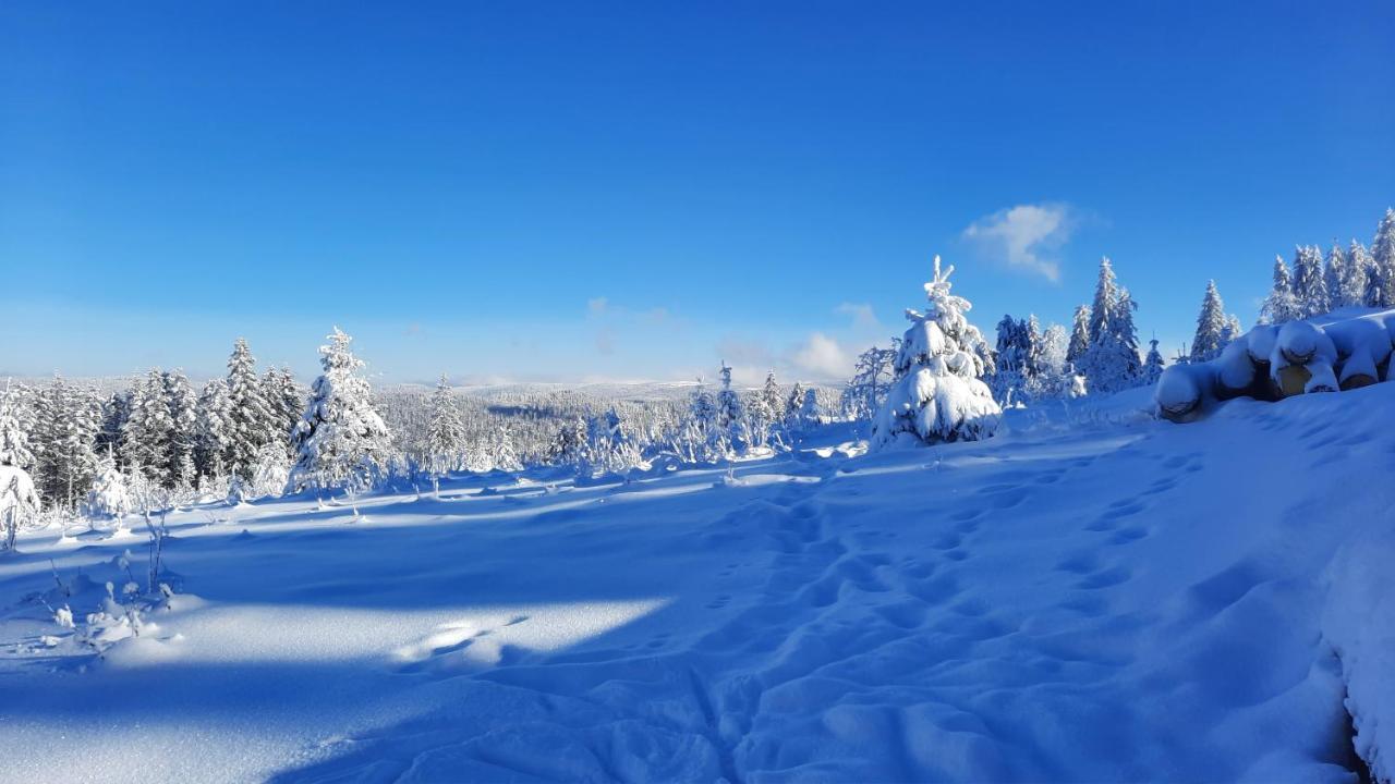 Les Dryades Gérardmer Eksteriør billede