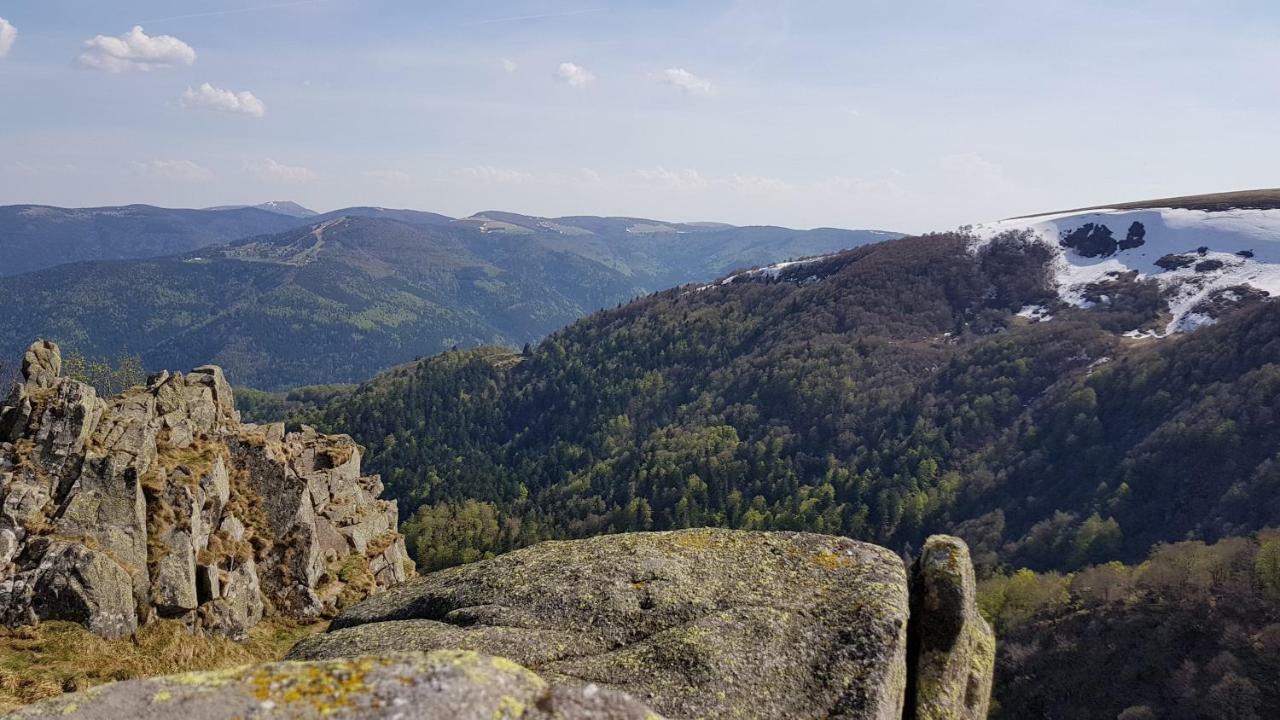 Les Dryades Gérardmer Eksteriør billede