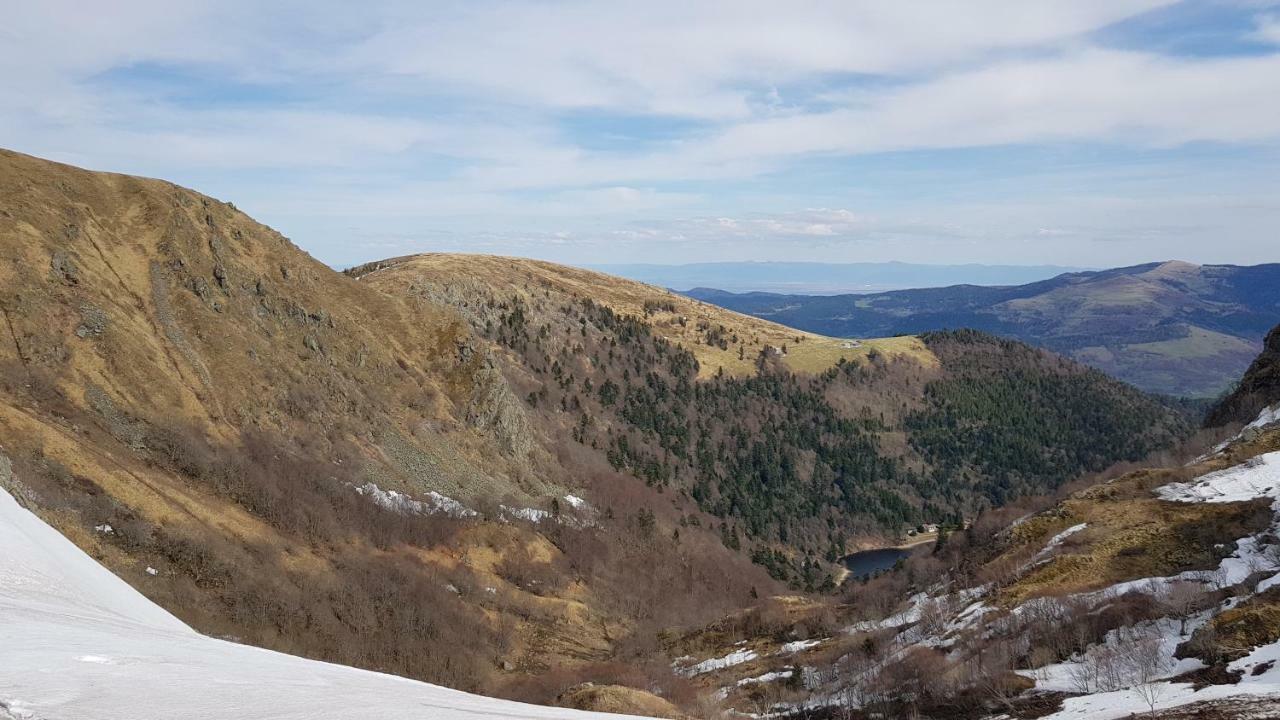 Les Dryades Gérardmer Eksteriør billede